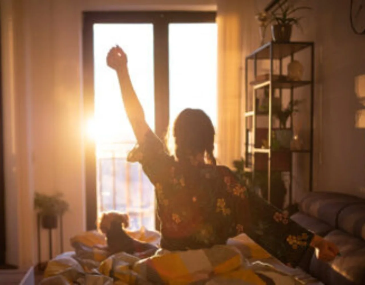 Why Sunlight Is Essential in Your Home