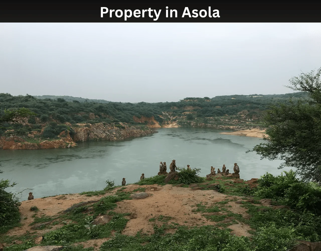 Property in Asola